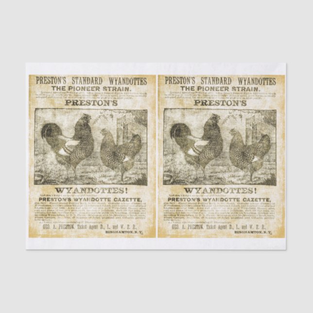 Papel De Seda Rooster desejado (imagens duplas) (Frente )