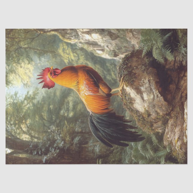 Papel De Seda Rooster em uma Decoupage de Paisagem da Selva (Frente )
