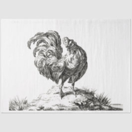 Papel De Seda Rooster em uma Fazenda de colheita em Hill