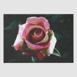 Papel De Seda rosa