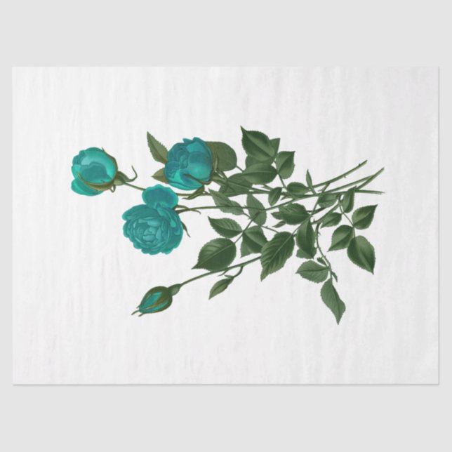 Papel De Seda Rosa da série 120 (Frente )