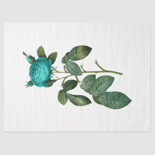 Papel De Seda Rosa da série 124 (Frente )