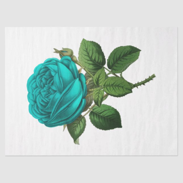 Papel De Seda Rosa da série 131 (Frente )