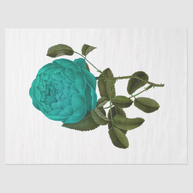 Papel De Seda Rosa da série 135 (Frente )