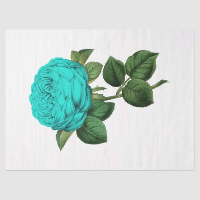 Papel De Seda Rosa da série 142 (Frente )