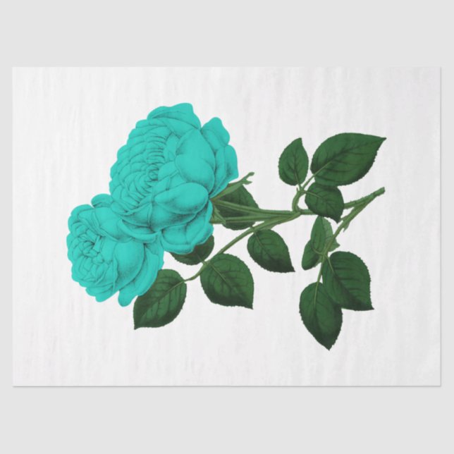 Papel De Seda Rosa da série 144 (Frente )