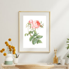 Papel De Seda Rosa de pintura digital Redouté