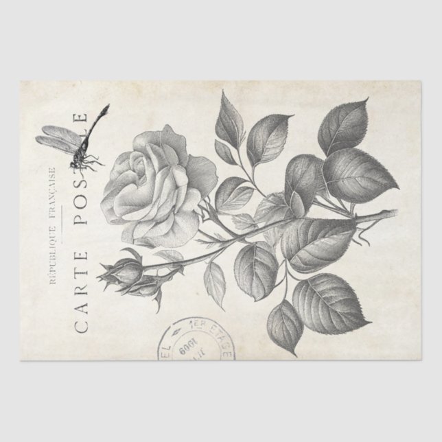 Papel De Seda Rosa Flor Dragonfly Francês - Postmark Decoupage (Frente )