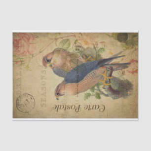 Papel De Seda Rosa Floral de Ephemera Gosbeak Bird