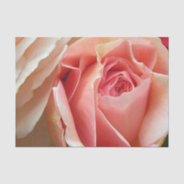 Papel De Seda Rosa perfeito do Pastel