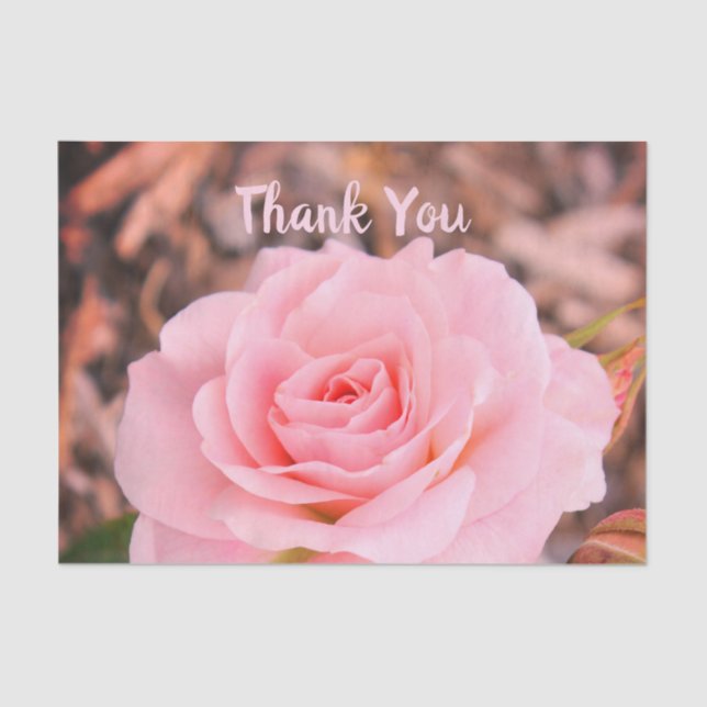 Papel De Seda Rosa Rosa Rosa Elegante (Frente )