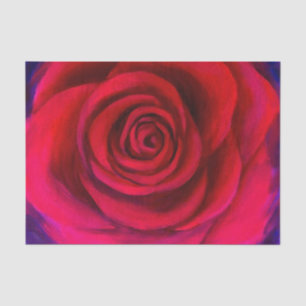 Papel De Seda Rosa Rosa Rosa Rosa Rosa - Rosa - Fechar Floral