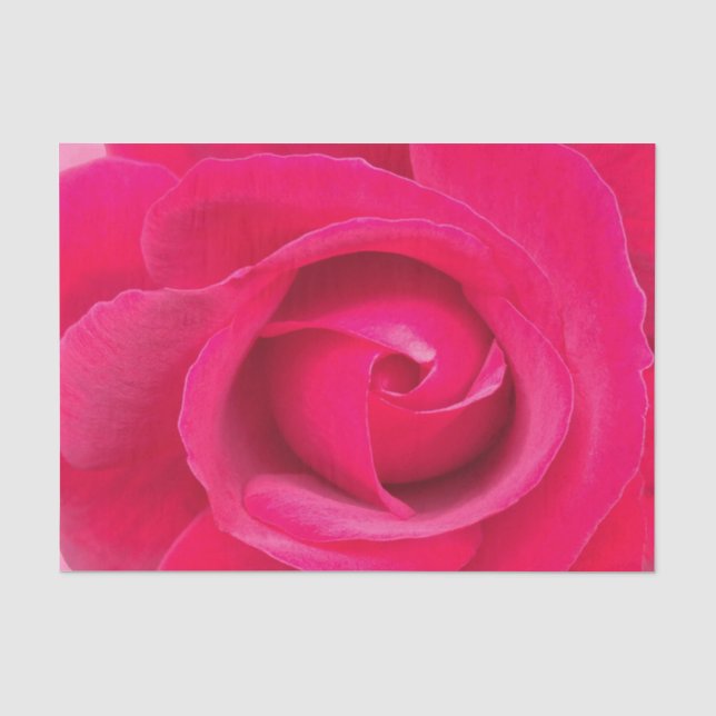 Papel De Seda Rosa Rosa Vermelha Romântica (Frente )