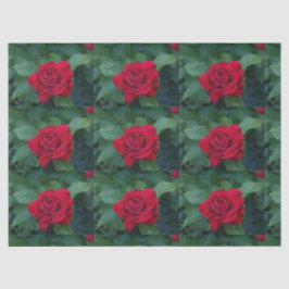 Papel De Seda Rosa Vermelha de Perto