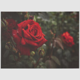 Papel De Seda Rosa vermelha Floral Bonito 20x30