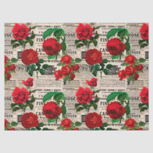 Papel De Seda rosa vermelha na página de dissociação do Newsp