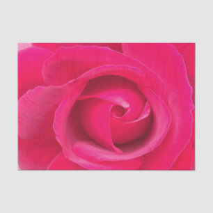 Papel De Seda Rosa Vermelha Romântica