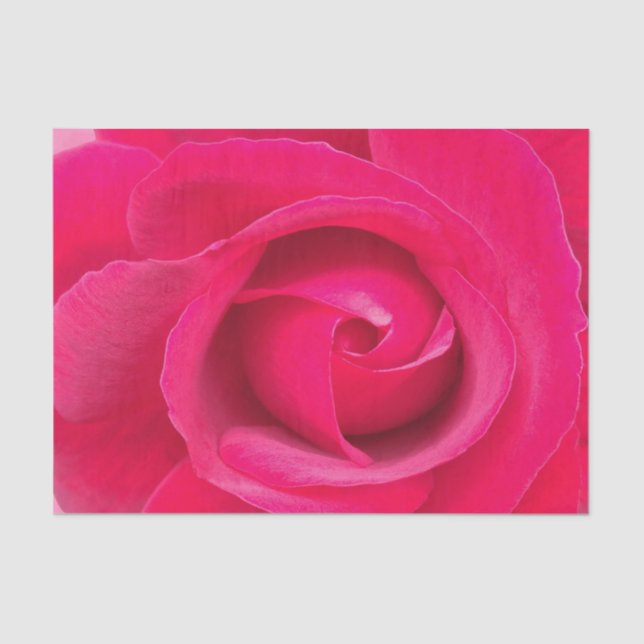 Papel De Seda Rosa Vermelha Romântica (Frente )