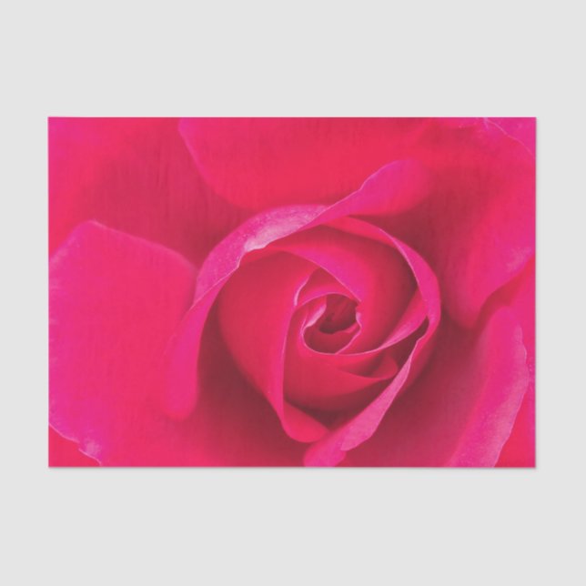 Papel De Seda Rosa Vermelho Romântico Rosa v2 (Frente )