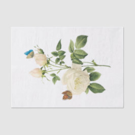 Papel De Seda Rosas Brancas Vintage #1 Borboletas Flores Floral