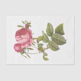 Papel De Seda Rosas Brancas Vintage #3 Flores Floral