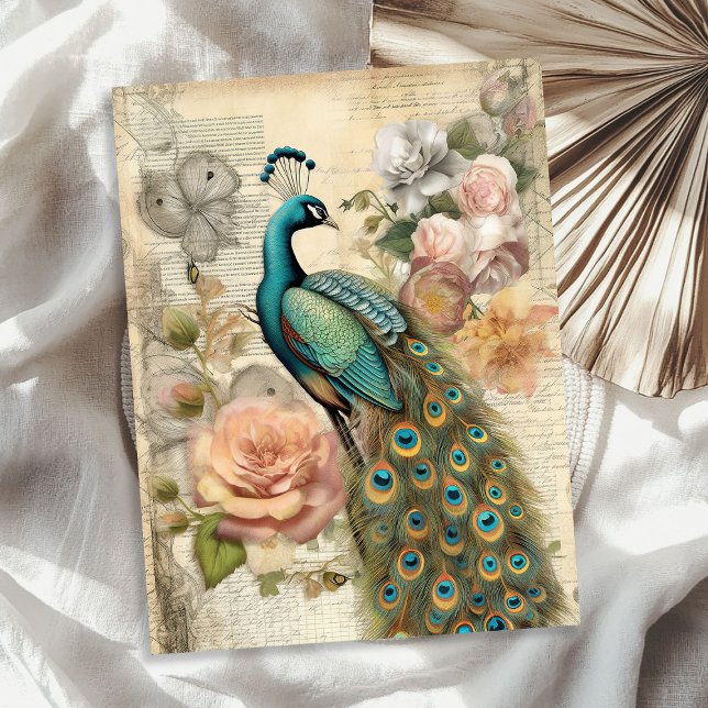 Papel De Seda Rosas de pavão e pavão elegantes (Elegant vintage peacock and blush roses tissue paper)