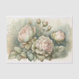 Papel De Seda Rosas de repolho com realces verdes