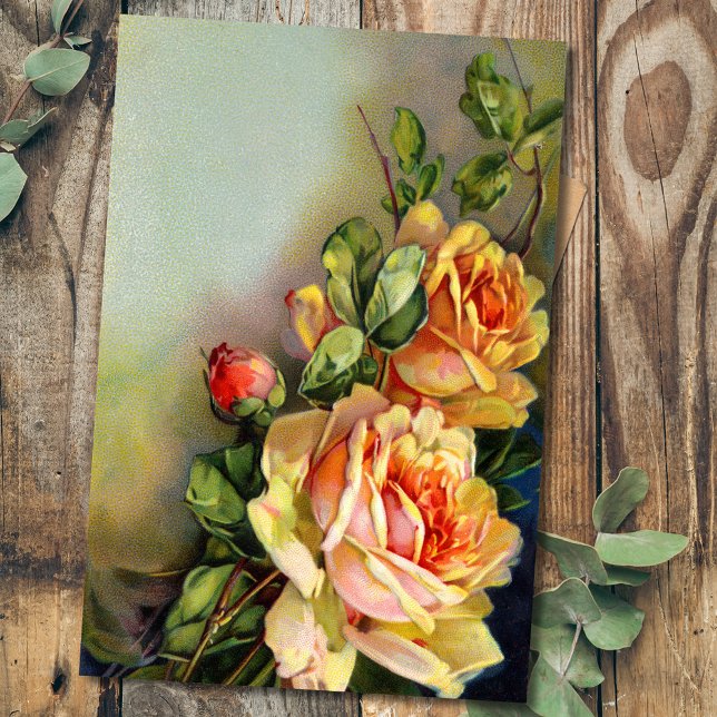 Papel De Seda Rosas Dourados e Blush (Criador carregado)