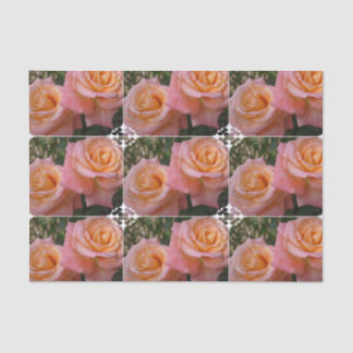 Papel De Seda Rosas Pastel