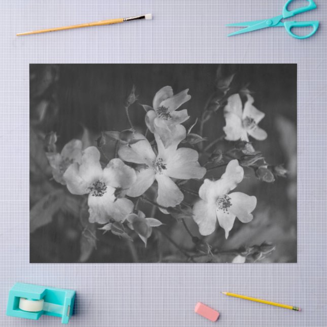 Papel De Seda Rosas selvagens  (Arte )