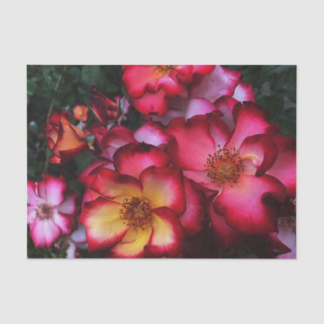 Papel De Seda Rosas selvagens (Frente )