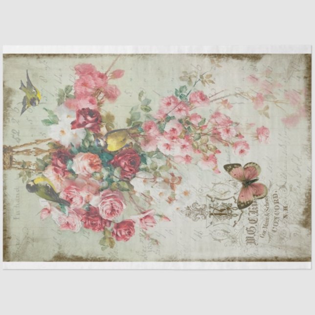 Papel De Seda Rosas Traînantes - Dissociação de Rosas e Pássaros (Frente )