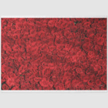 Rosas vermelhas HAMbyWG