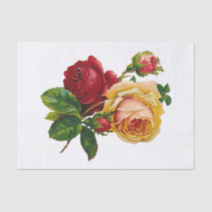 Papel De Seda Rosas Vermelhas, Pêssegas e Rosa