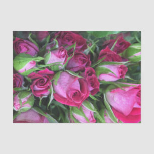 Papel De Seda Rosebuds do bebê
