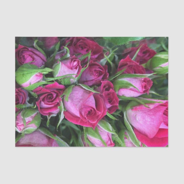 Papel De Seda Rosebuds do bebê (Frente )