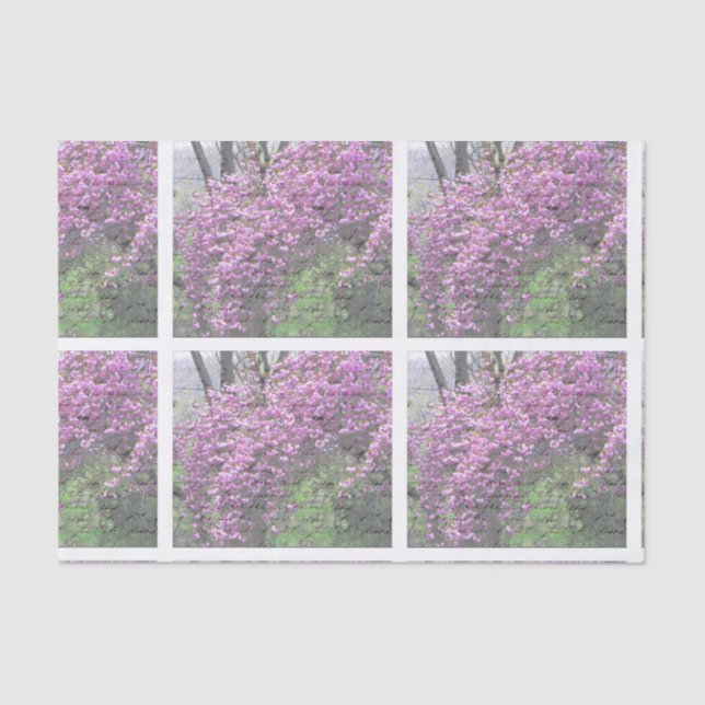 Papel De Seda Roteiro francês Decoupage da flor de cerejeira (Frente )