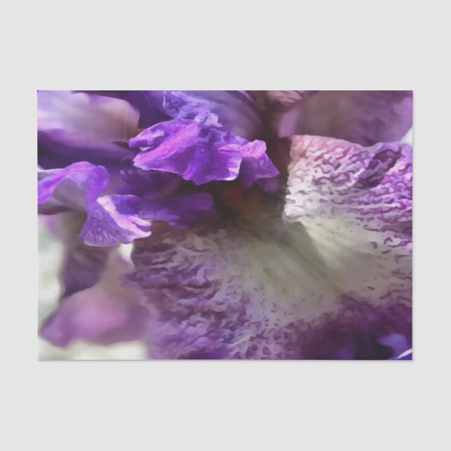 Papel De Seda Roxo, Violeta e Mauve Iris Abstrato (Frente )