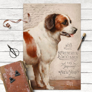 Papel De Seda Rua de Vintage. Cachorro Bernard com a Decoupage d