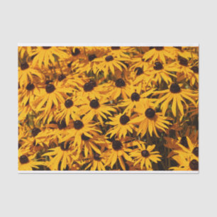 Papel De Seda Rudbeckia bonito/Coneflowers alaranjado