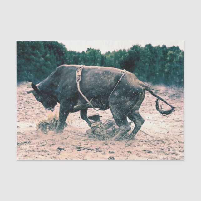 Papel De Seda Russo do Cowboy Negro do Rodeo Ocidental (Frente )