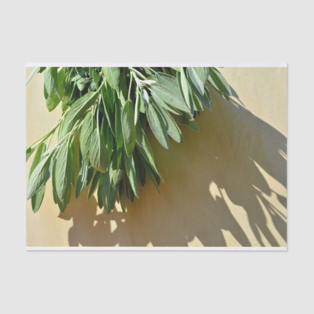 Papel De Seda Sage de corte fresco (Frente )