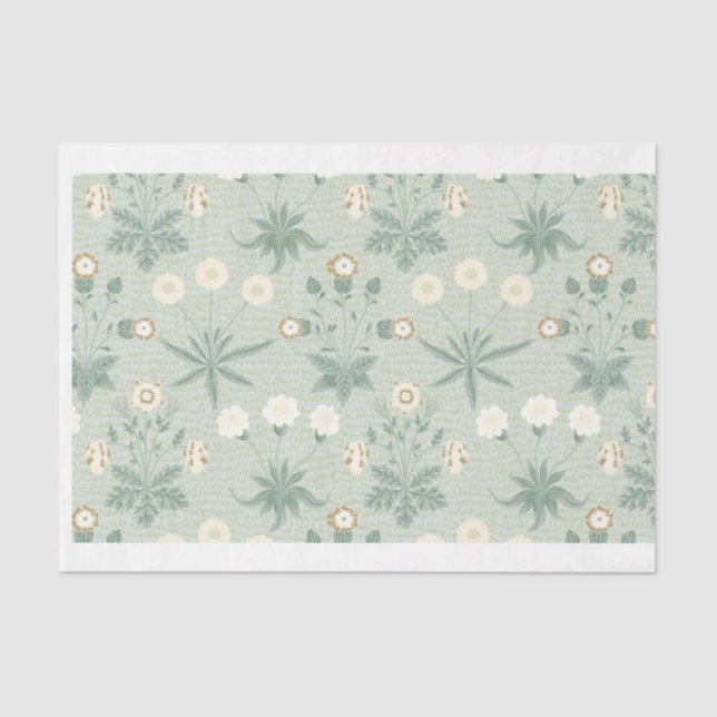 Papel De Seda Sage e Creme Floral (Frente )