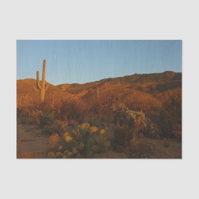 Papel De Seda Saguaro Sunset I Arizona Desert Landscape (Frente )