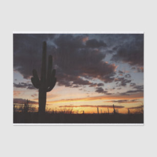Papel De Seda Saguaro Sunset III Arizona Desert Landscape