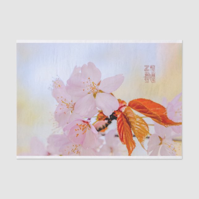 Papel De Seda Sakura - cereja japonesa floresce (Frente )