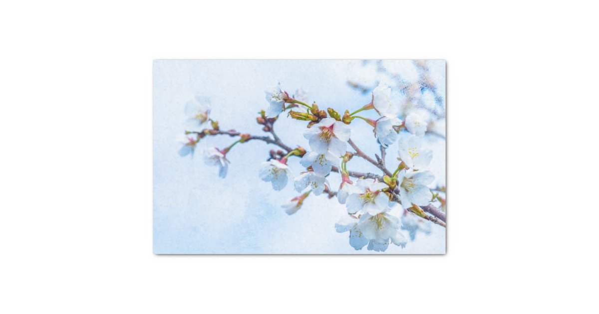 Papel De Seda Sakura - flor de cerejeira japonesa | Zazzle.com.br