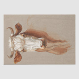 Papel De Seda Samuel Colman | Dois estudos sobre bovinos - 1876