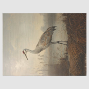 Papel De Seda Sandhill Crane na Desnuvem Marsh