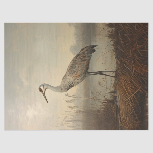 Papel De Seda Sandhill Crane na Desnuvem Marsh (Frente )